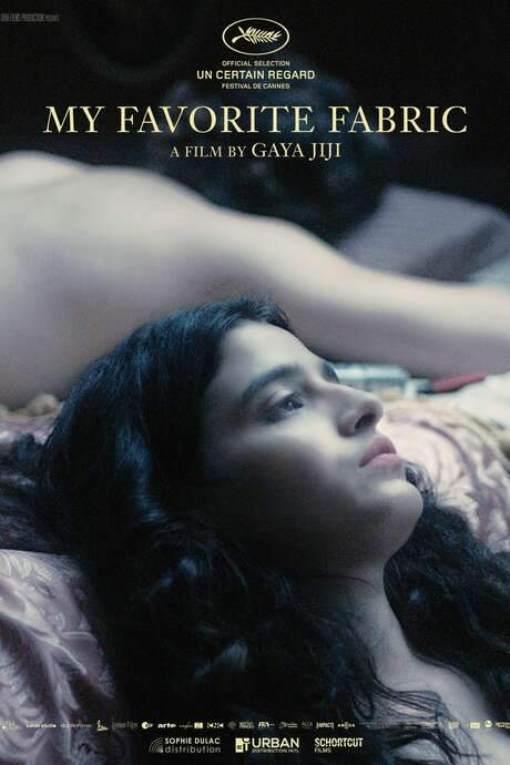 My Favourite Fabric (2018) movie poster
