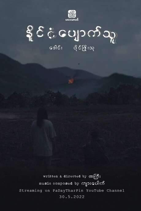 My Lost Nation (2022) movie poster