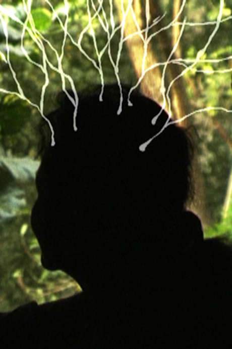 My Mother’s Garden (2007) movie poster