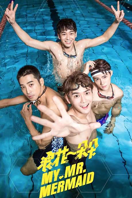 My Mr. Mermaid (2017) movie poster