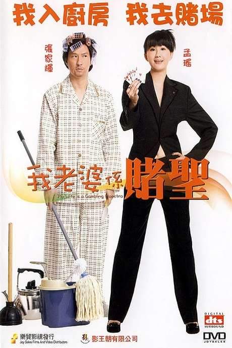 My Wife Is a Gambling Maestro (2008) movie poster
