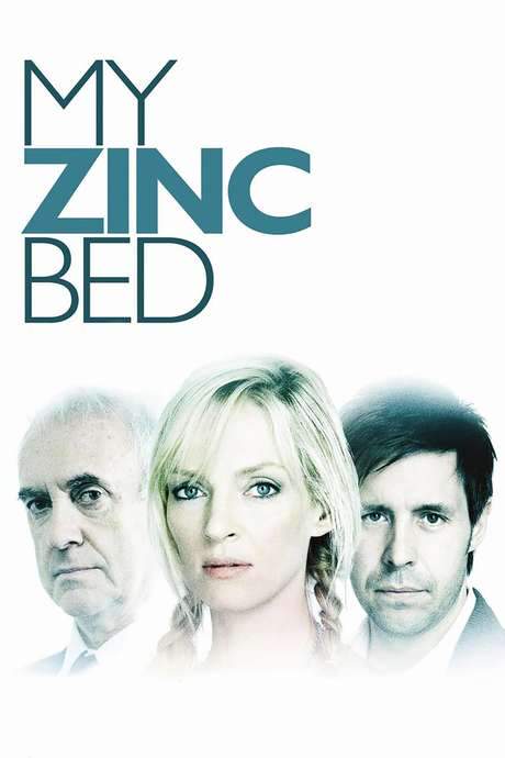 My Zinc Bed (2008) movie poster