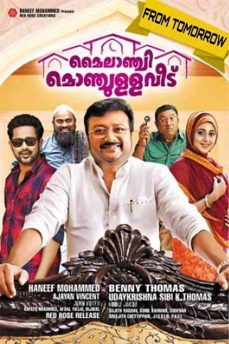 Mylanchi Monchulla Veedu (2014) movie poster