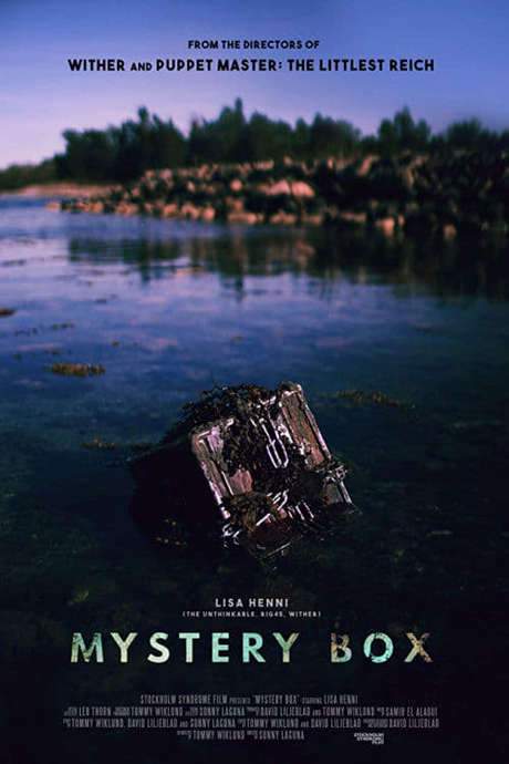 Mystery Box (2018) movie poster
