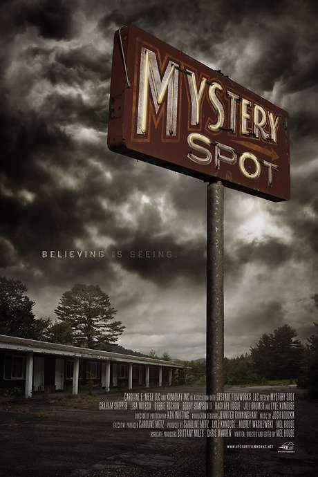 Mystery Spot (2021) movie poster