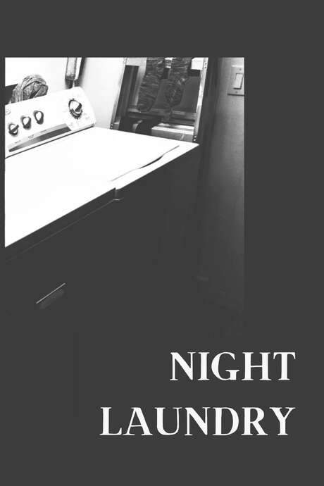 NIGHT LAUNDRY (2021) movie poster