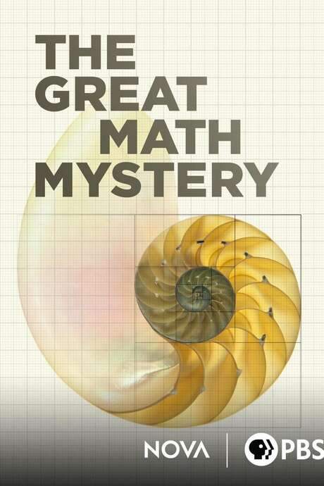 NOVA: The Great Math Mystery (2015) movie poster