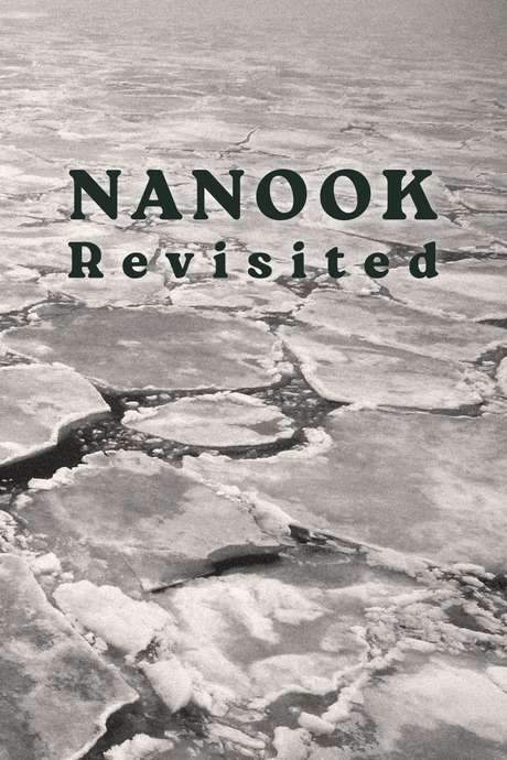 Nanook Revisited (1988) movie poster