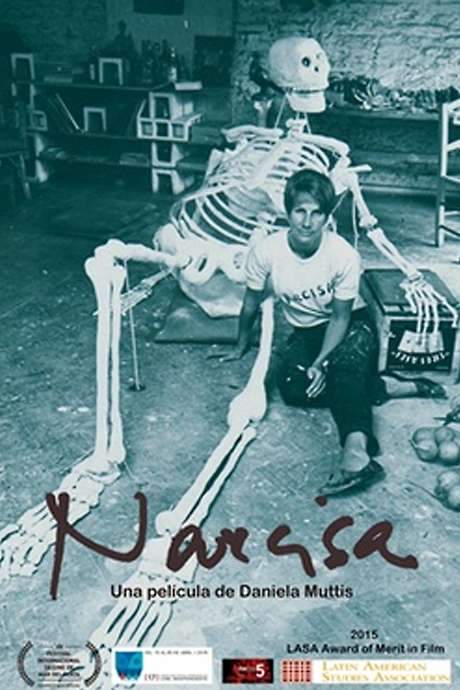 This documentary explores the life and work of Narcisa Hirsch, a groundbreaking figure in Argentine experimental cinema. It examines her cinematic journey alongside her involvement in the vibrant happenings and performances of the 1960s and 1970s, offering insight into a unique artistic trajectory.
