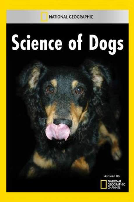 National Geographic Explorer: Science of Dogs (2007) movie poster