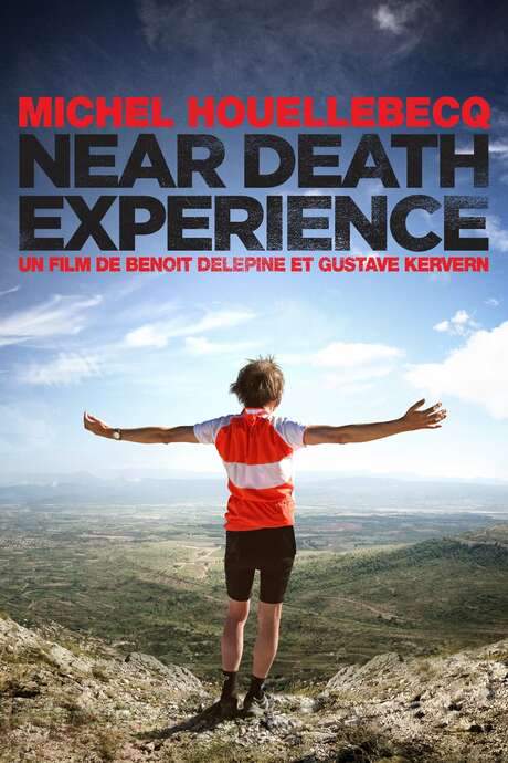 Near Death Experience (2014) movie poster