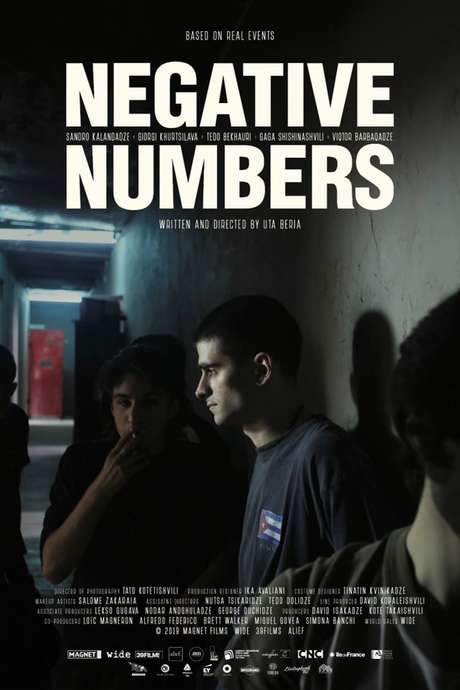 Negative Numbers (2019) movie poster