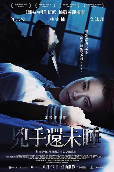 Nessun Dorma (2016) movie poster