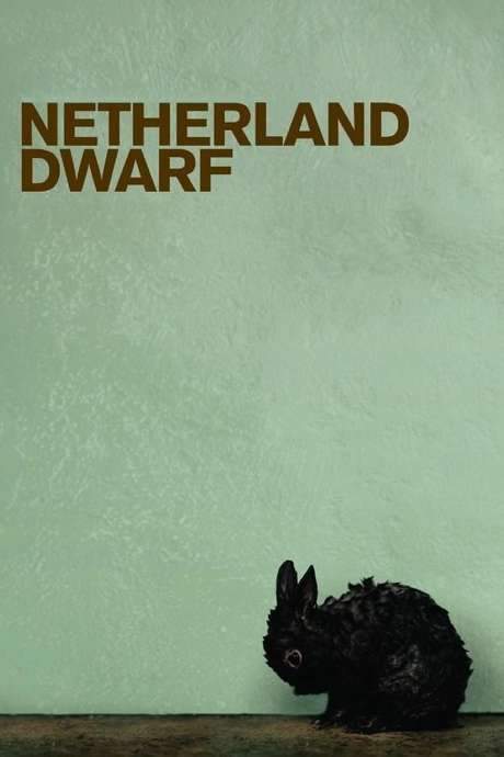 Netherland Dwarf (2008) movie poster