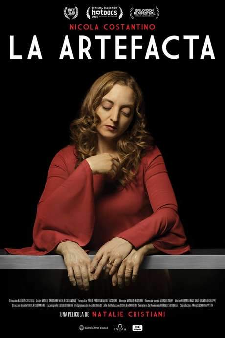 Nicola Costantino: La artefacta (2015) movie poster