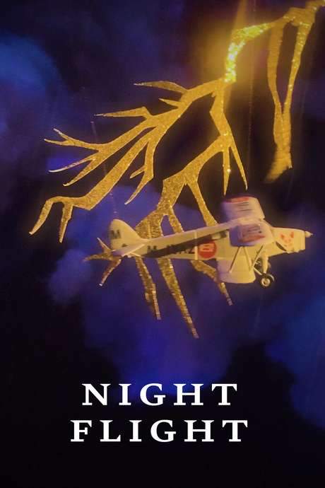Night Flight (2020) movie poster