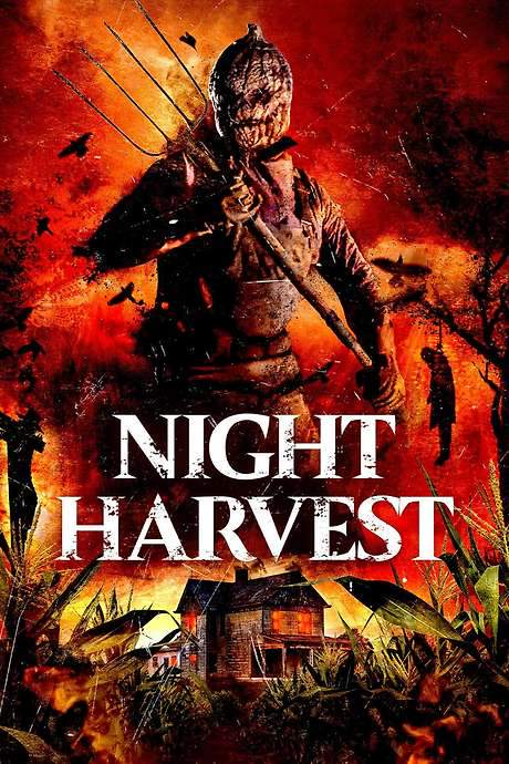 Night Harvest (2024) movie poster