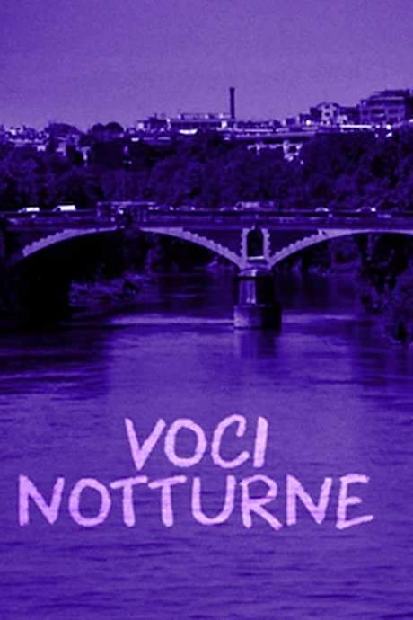 Night Voices (1995) movie poster