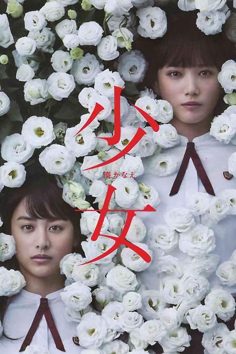 Night’s Tightrope (2016) movie poster