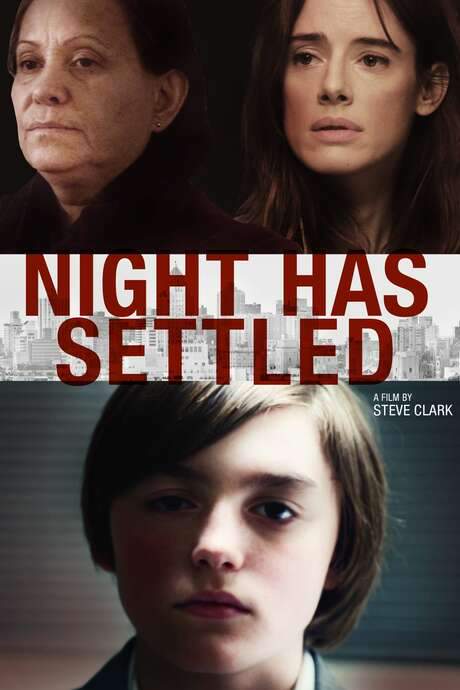 Night Has Settled (2014) movie poster