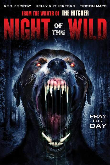 Night of the Wild (2015) movie poster