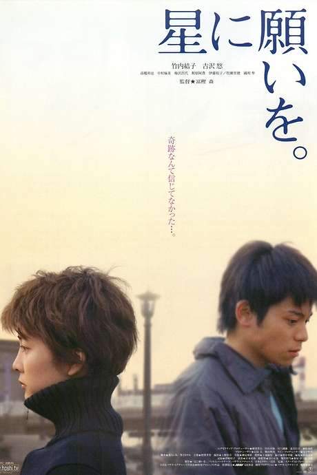 Night of the Shooting Stars (2003) movie poster
