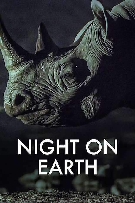 Night on Earth (2020) movie poster