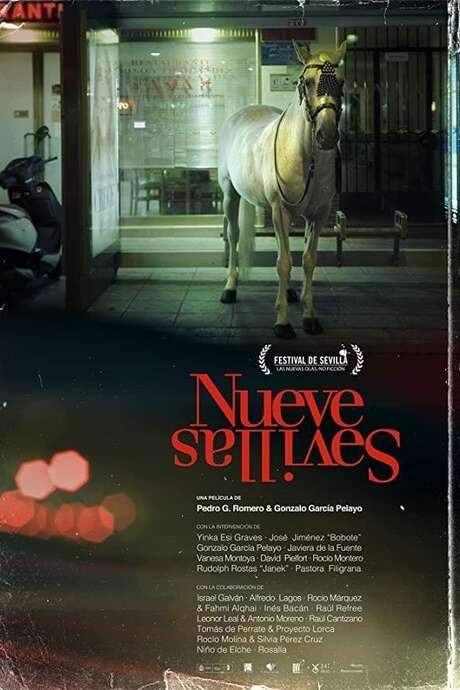 Nine Sevilles (2020) movie poster