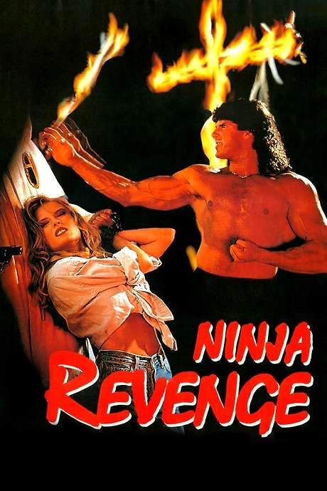 Ninja Vengeance (1993) movie poster