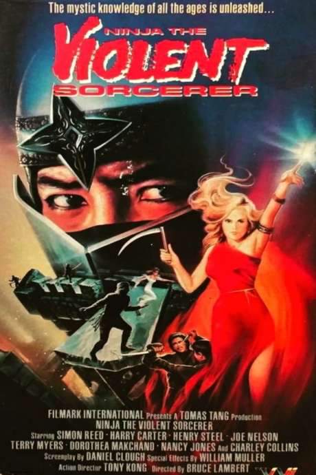Ninja, the Violent Sorceror (1987) movie poster
