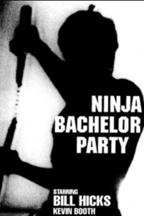 Ninja Bachelor Party (1991) movie poster
