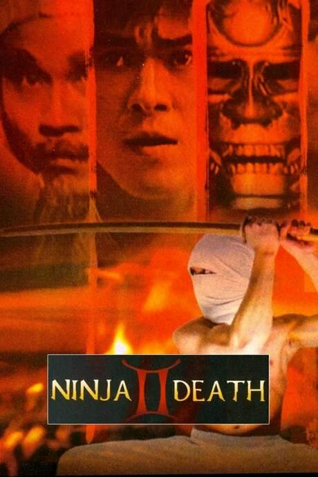 Ninja Death 2 (1987) movie poster
