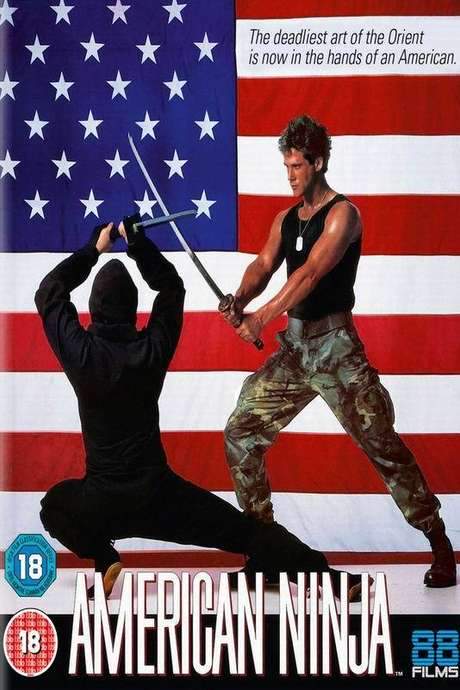 Ninja Gaijin: Remembering a Classic Cannon Franchise (2015) movie poster