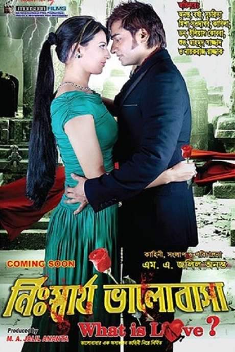 Nisshartho Bhalobasha: What is Love! (2013) movie poster