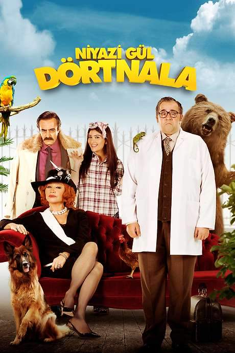 Niyazi Gül Dörtnala (2015) movie poster