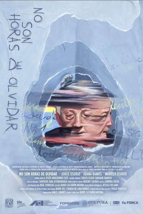 No Son Horas de Olvidar (2020) movie poster