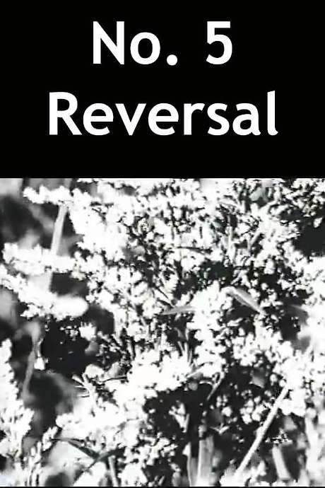 No. 5 Reversal (1989) movie poster