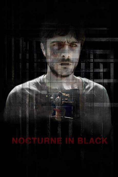 Nocturne in Black (2016) movie poster