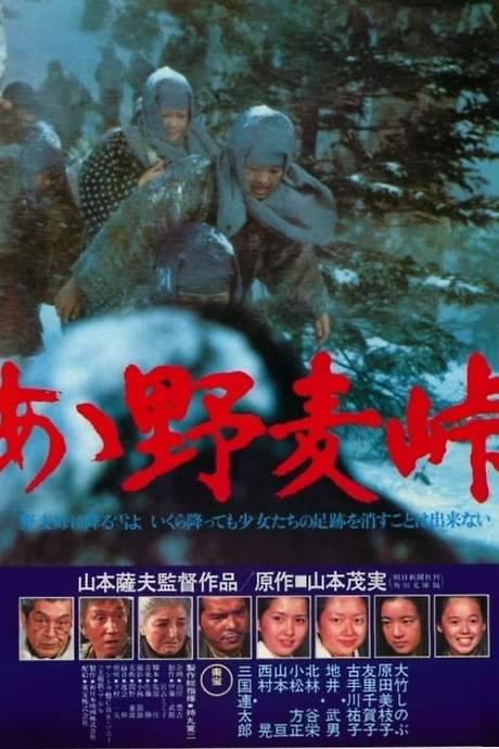 Nomugi Pass (1979) movie poster