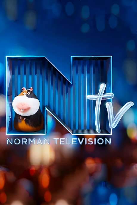 Norman Television (2016) movie poster