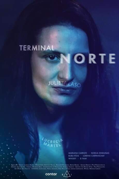 North Terminal (2021) movie poster