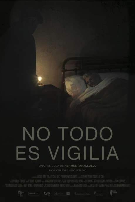 Not All Is Vigil (2014) movie poster