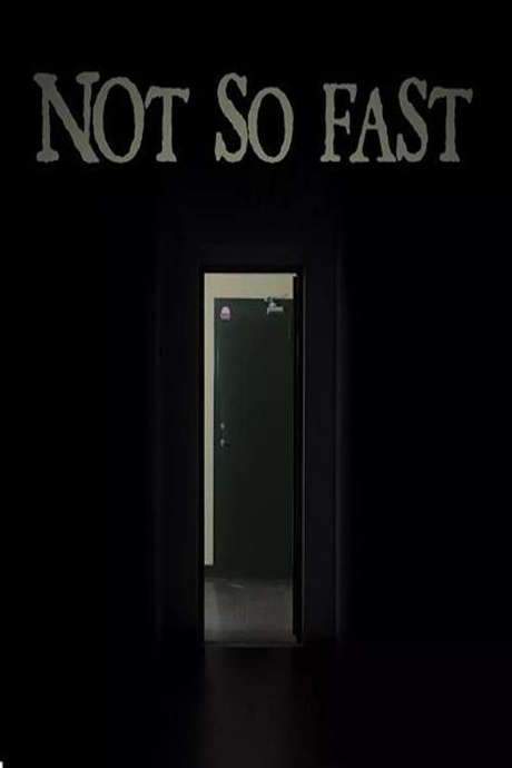 Not So Fast (2014) movie poster