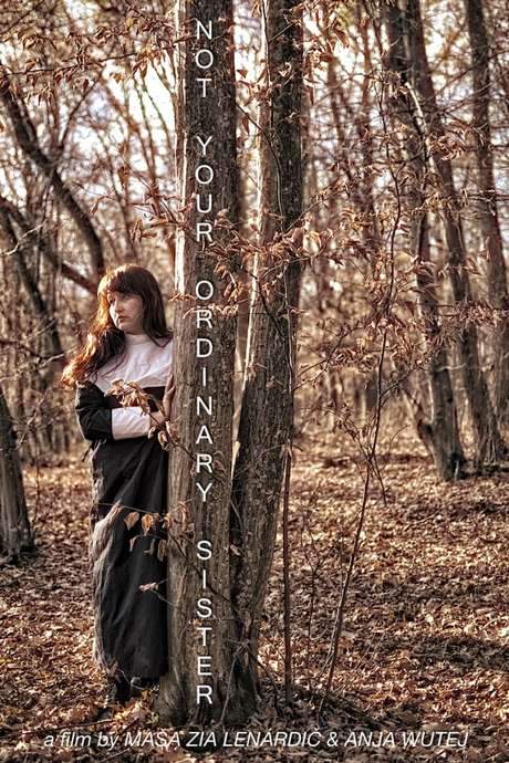 Not Your Ordinary Sister (2019) movie poster