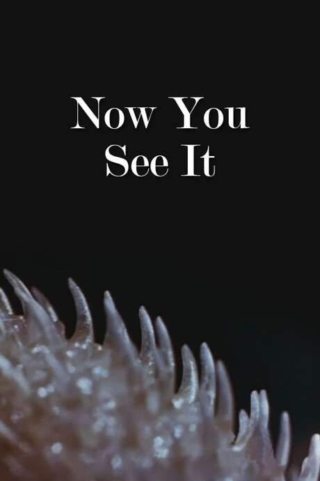 Now You See It (1947) movie poster