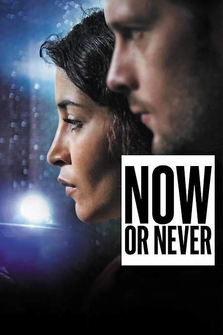 Now or Never (2014) movie poster
