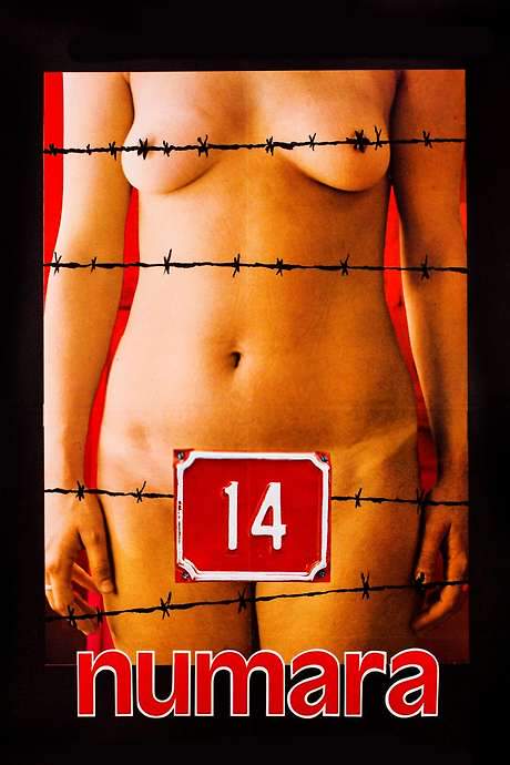 Number 14 (1985) movie poster