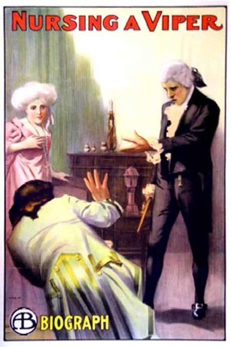 Nursing a Viper (1909) movie poster