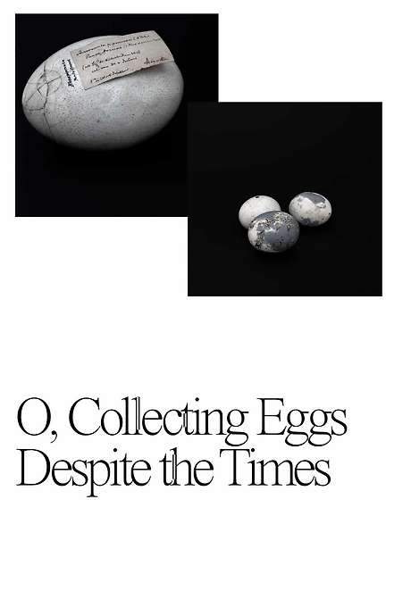 O, Collecting Eggs Despite the Times (2021) movie poster