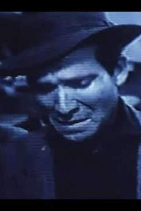 O Espectador que o Cinema Esqueceu (1991) movie poster